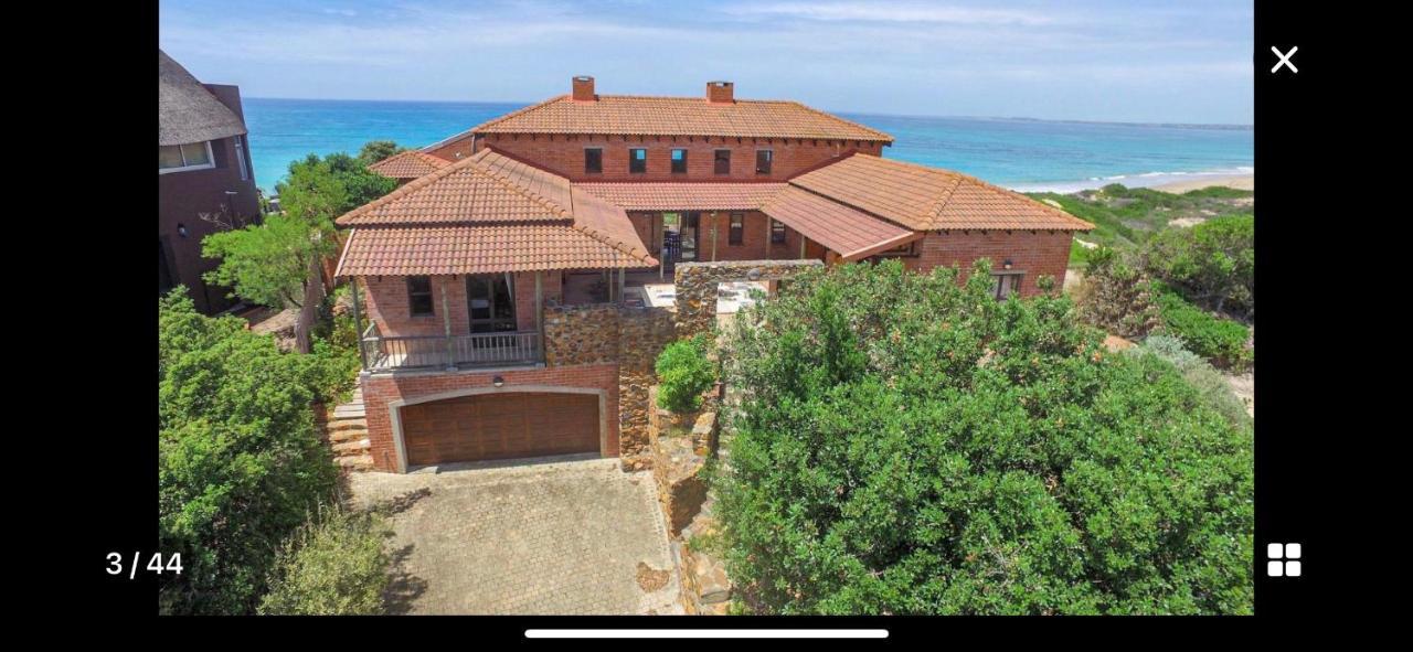 4 Zwaan Jeffreys Bay